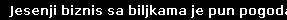 Jesenji biznis sa biljkama je pun pogodak