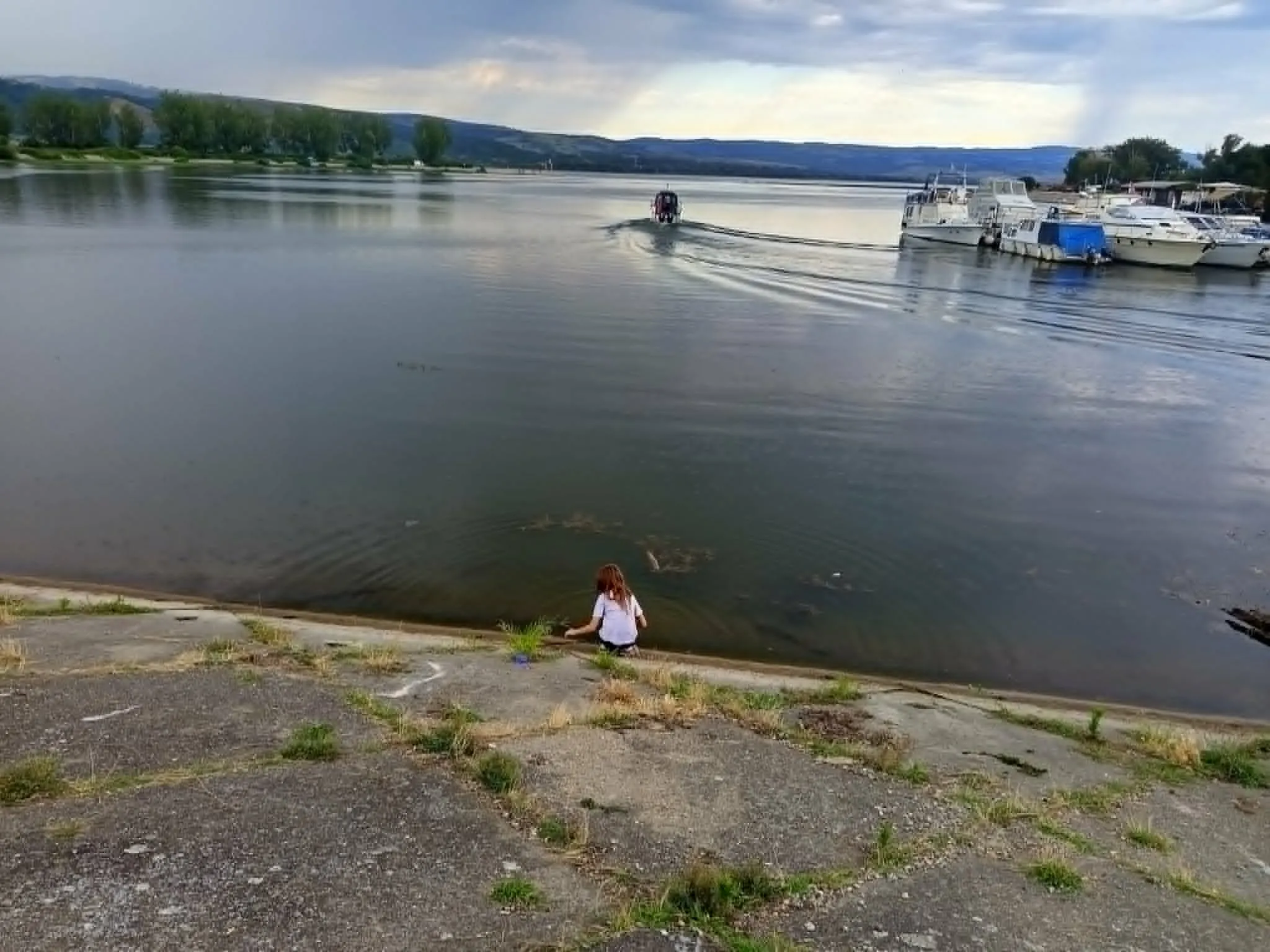 Dunav