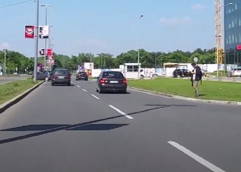 U SUSRET PROLEĆU Počinje sadnja ukrasnog šiblja u Bulevaru Nikole Tesle