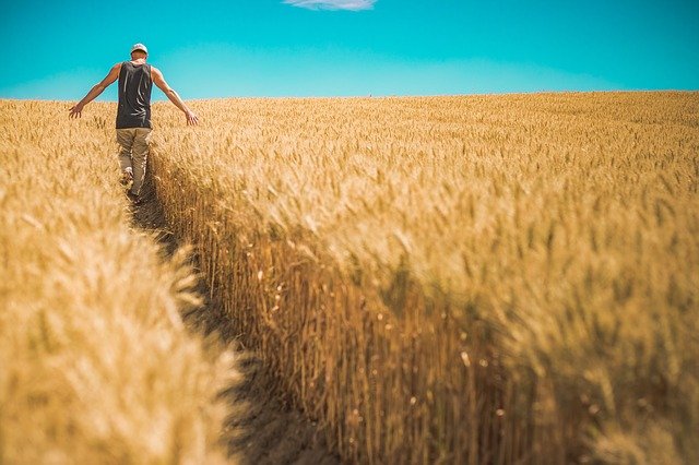 KOLIKI JE UTICAJ UKRAJINSKE KRIZE NA NAŠU DRŽAVU? Evo šta sprska poljoprivreda dobija, a šta gubi