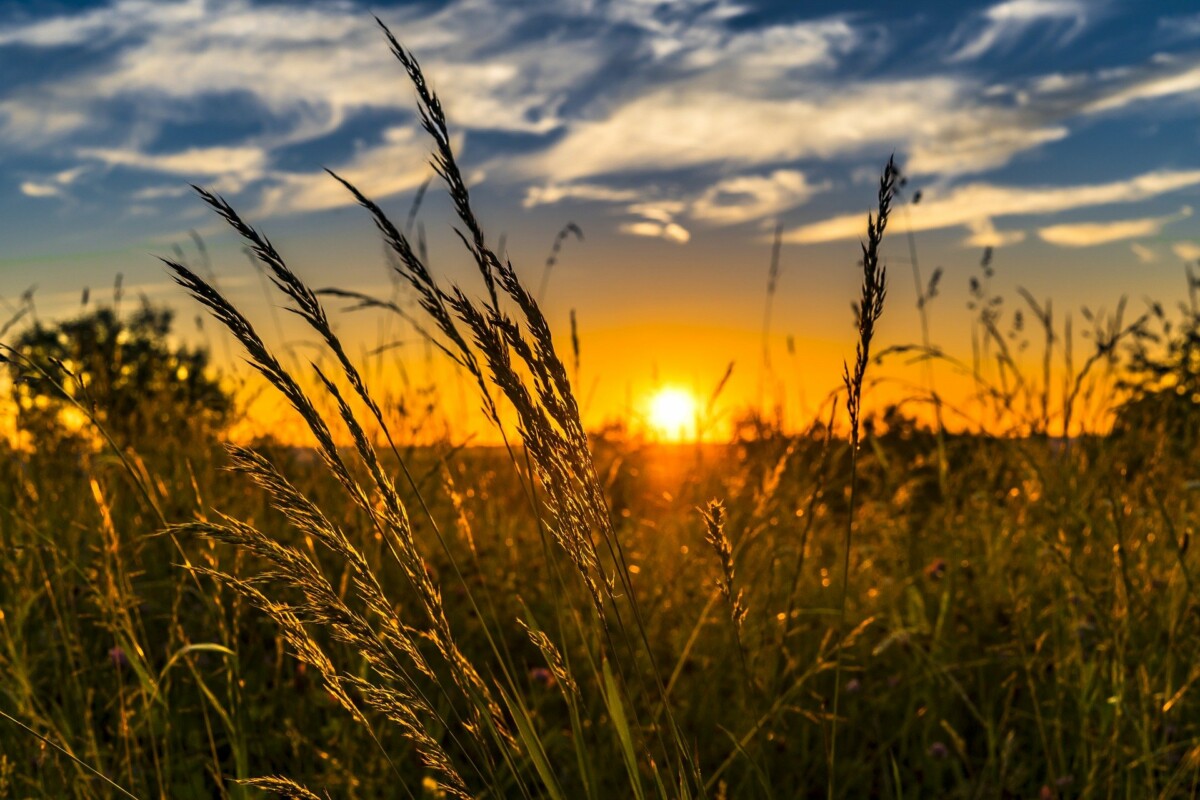 NA POMOLU NOVA KRIZA SNABDEVENOSTI HRANOM 25 miliona tona blokirano u Crnom moru