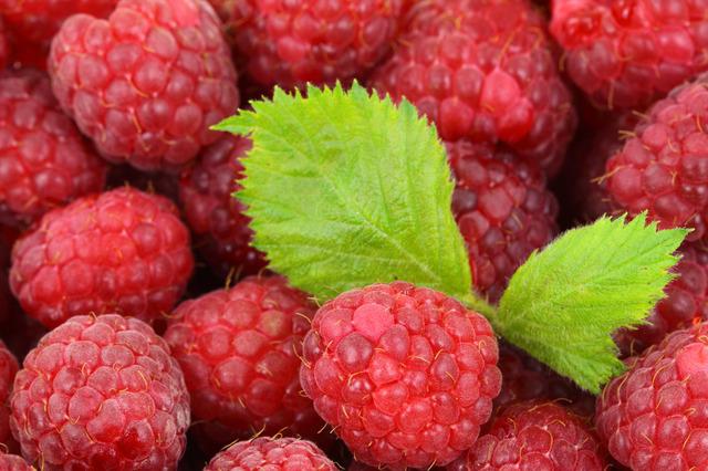 OVOSEZONSKA CENA MALINE Koliko ćemo plaćati za ovo malo slatko zadovoljstvo