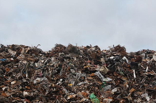 BEOGRAD ĆE BITI KONAČNO ČIST Uklanjaju se divlje deponije, Grad traži strožije kazne za neodgovorno ponašanje