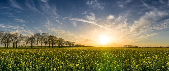 OVDE JE NAJSKUPLJE ZEMLJIŠTE U SRBIJI Samo nekoliko hektara prodato je po paprenoj ceni