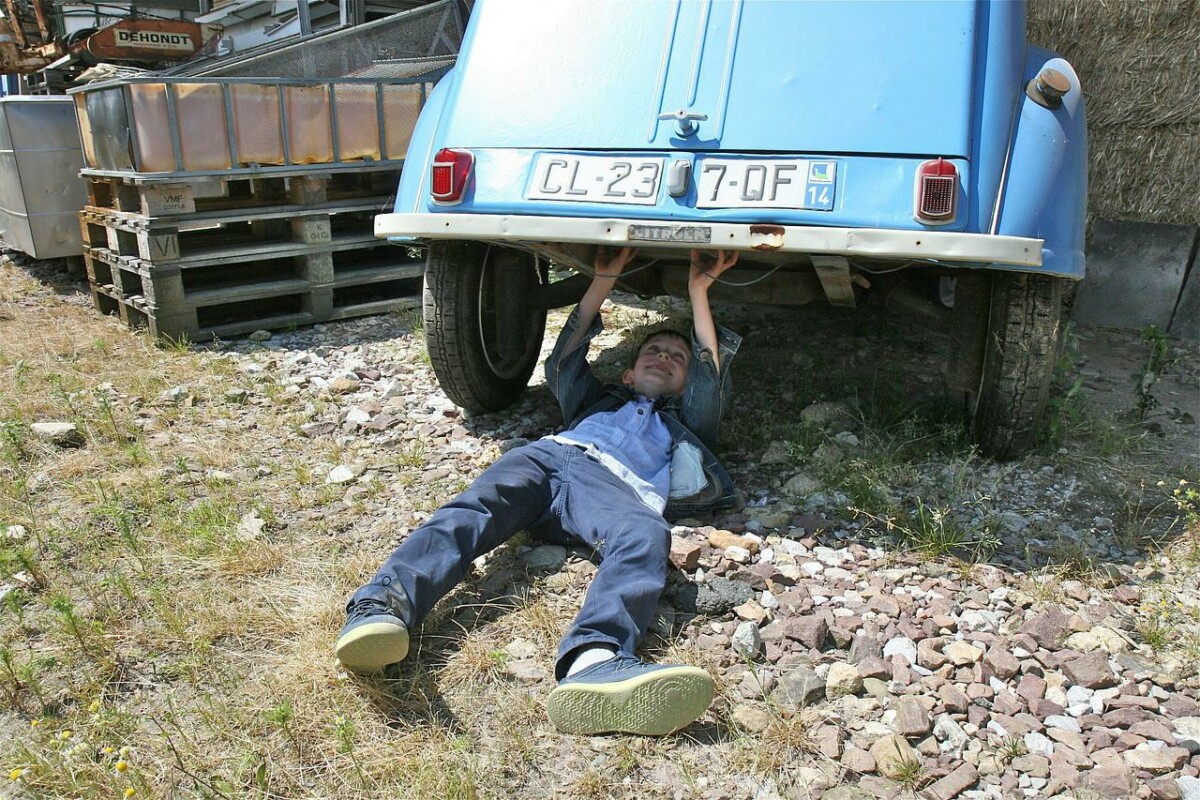 TATA, KUPI KOLA SA LEPIM FELNAMA Najnovije istraživanje - deca igraju važnu ulogu u nabavci automobila