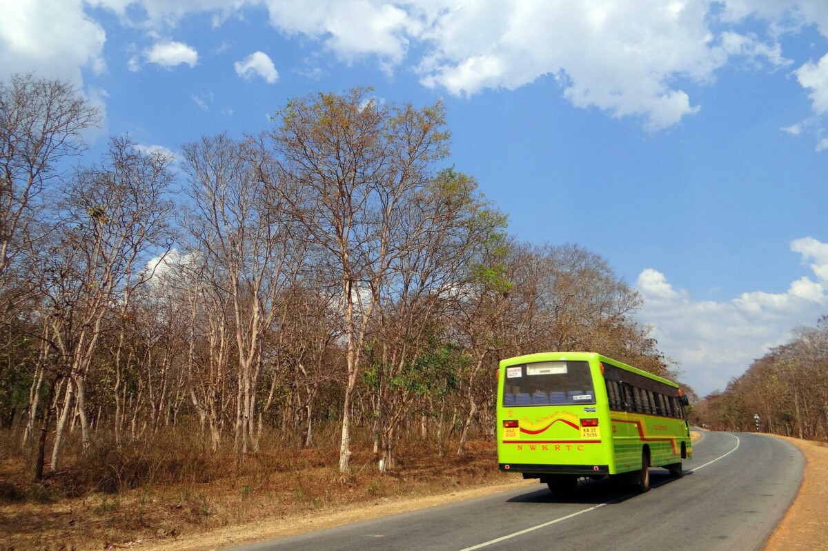 SKUPLJE NEGO U EVROPI Građani između gradova najradije putuju autobusom - zašto su usluge domaćih prevoznika više od nemačkih?