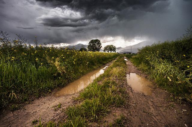 POPLAVE I POŽARI ŠIROM SRBIJE Nevreme u Beogradu, Kraljevu i Sjenici, a grad ponovo u Šumadiji