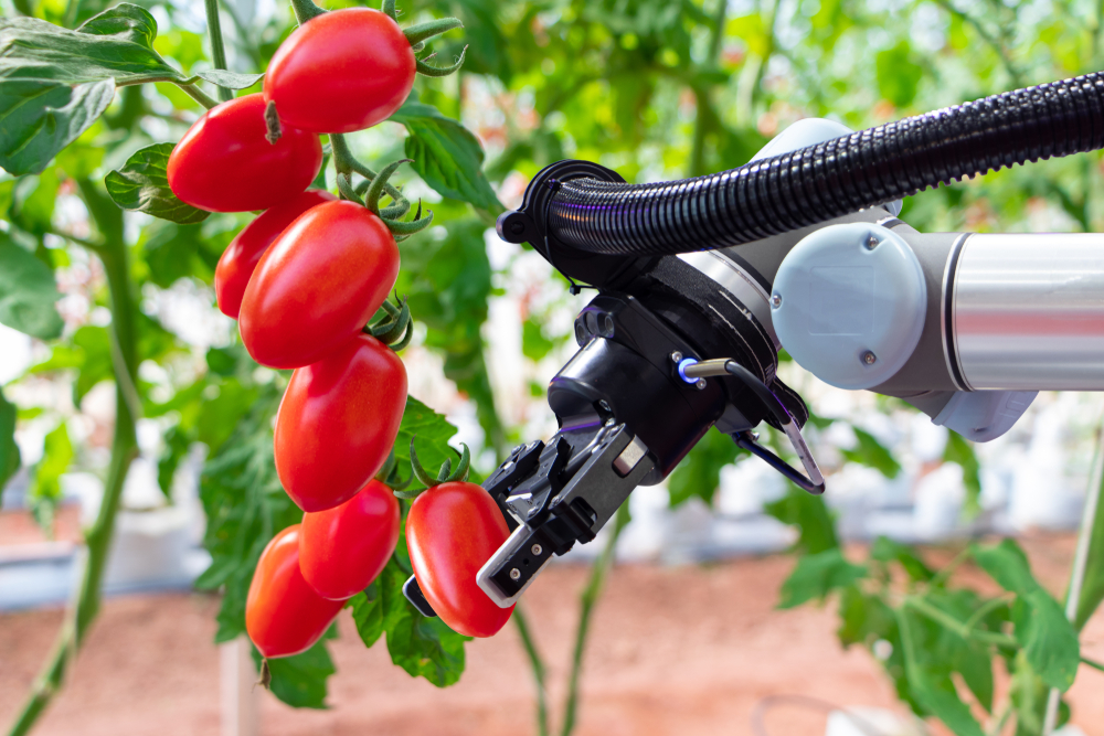 Poljoprivrednicima stiže pomoć - Robot sve radi sam