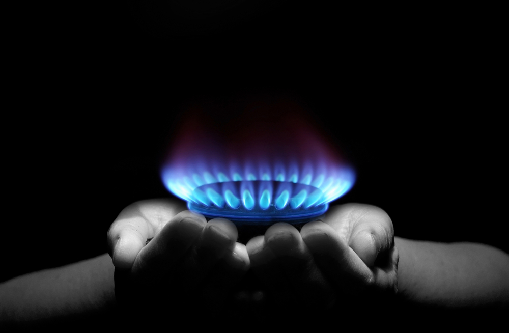STABILNOST CENA I SNABDEVENOST ENERGIJOM Za sada bez poskupljenja gasa i struje