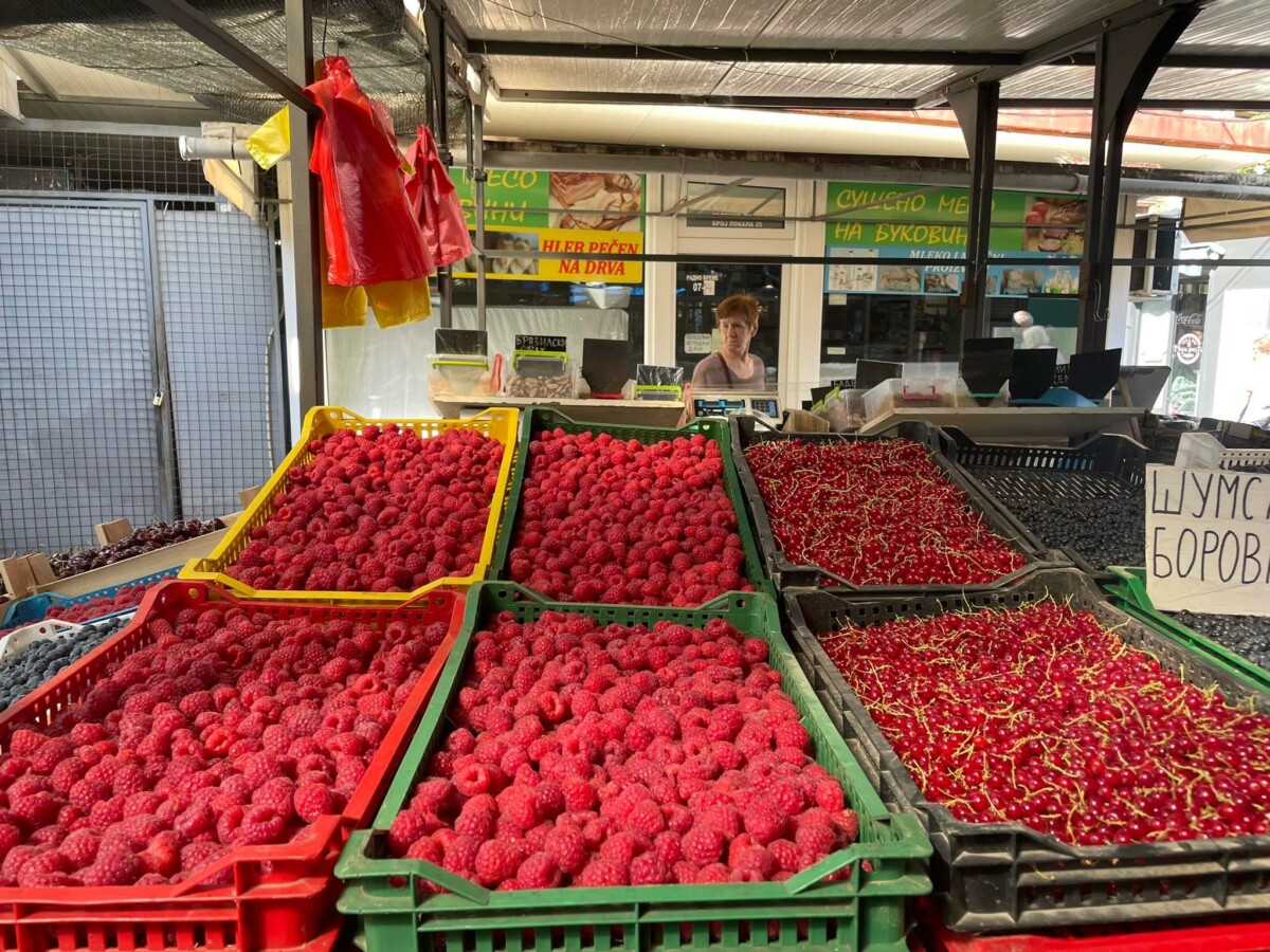 100 grama maline na beogradskim pijacama skoro kao otkupna cena kilograma