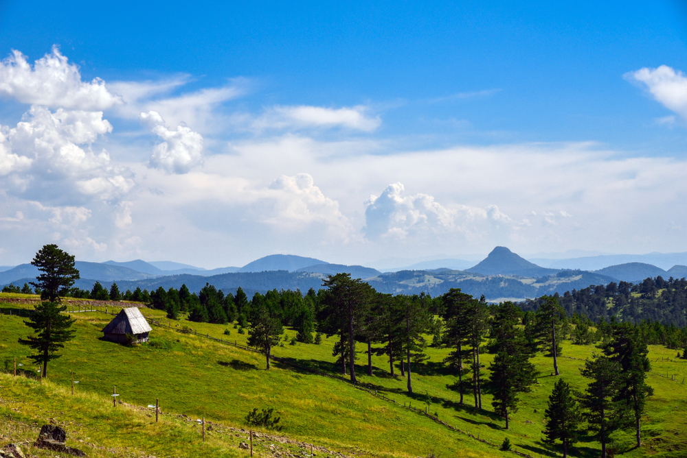 TRAŽI SE APARTMAN VIŠE, UPRKOS VISOKIM CENAMA Ova srpska planina svake godine sve posećenija