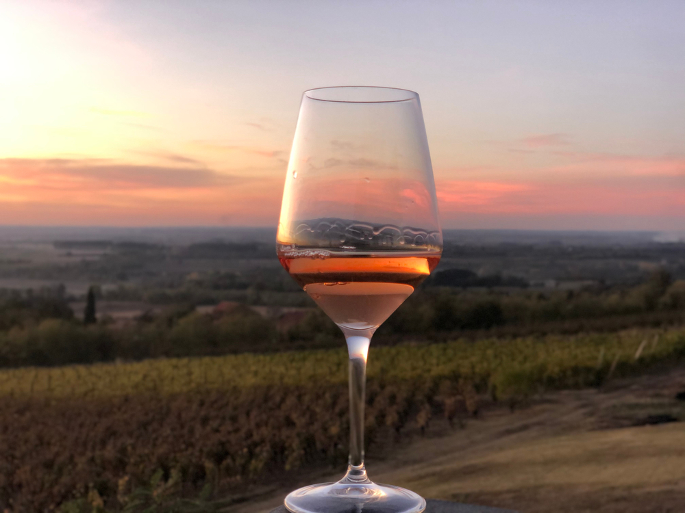 SAJAM VINARA U SRCU SREMA Sinoć u Čortanovcima otvoren - Fruška gora Wine Show