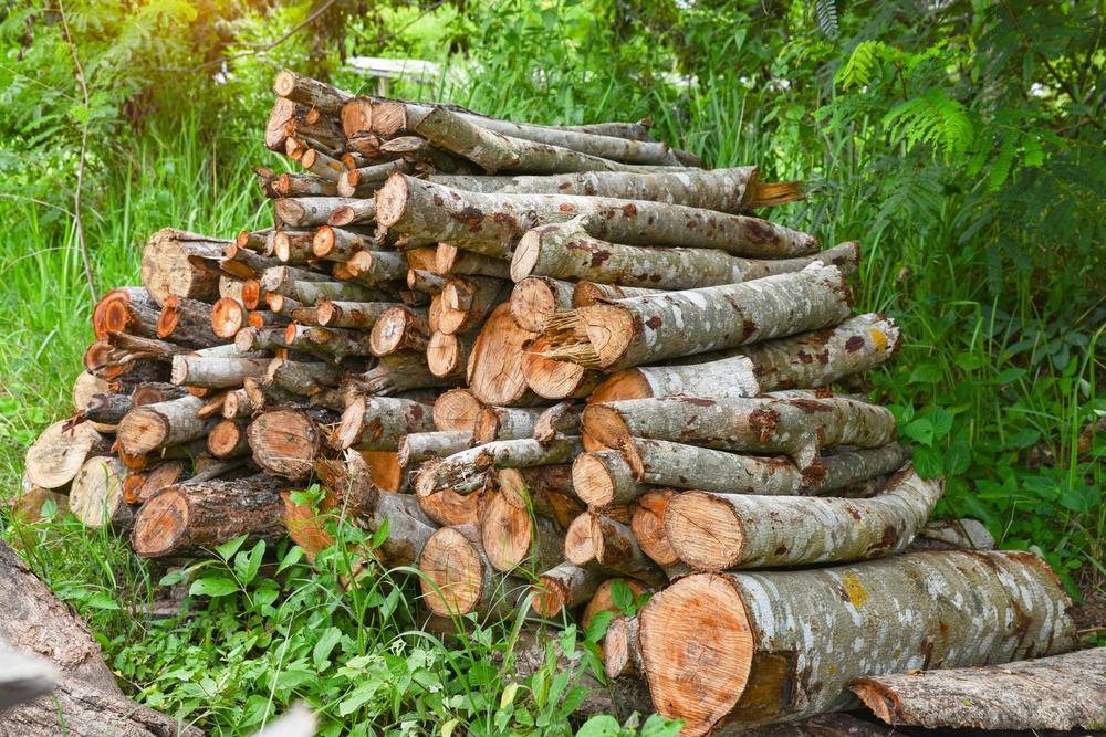 KUBIK DRVA ZA OGREV U SRBIJI SKUPLJI NEGO U AUSTRIJI Cena ovog energenta se kreće oko 100 evra - šta je razlog deficita na tržištu?