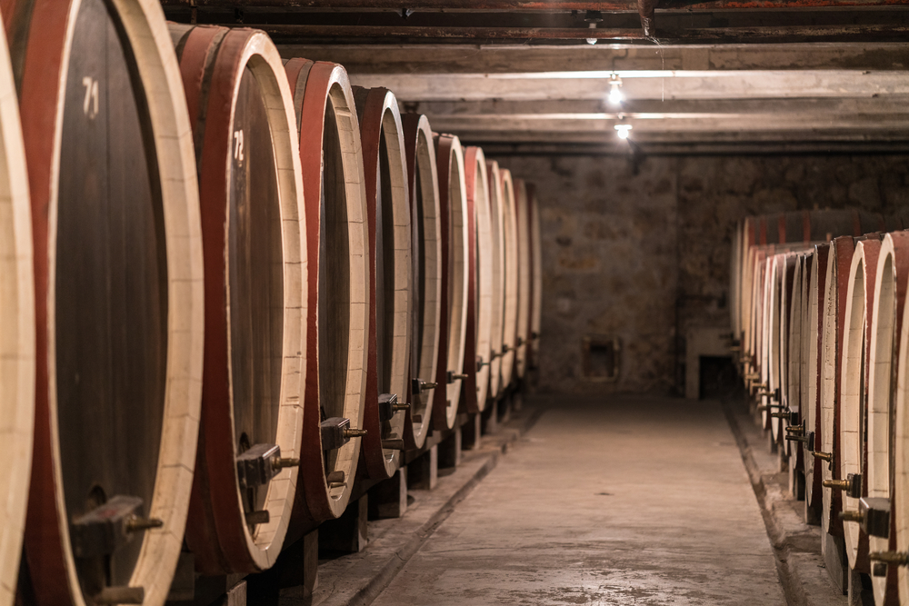 DOMAĆI PODRUMI IMAJU ŠTA DA OTKRIJU Čuveni austrijski magazin ocenio Srbiju kao vinogradarsku zemlju u usponu