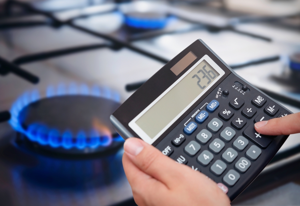 UKIDAJU SE TAKSE, I MENJA SE PROCEDURA Cena priključka za gas ostaje ista, a rok za dobijanje je do 90 dana