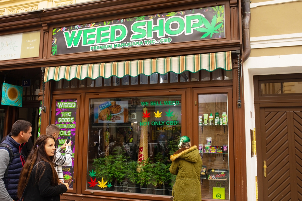 KONZUMACIJA, UZGAJANJE I PRODAJA Nemačka na korak do legalizacije kanabisa