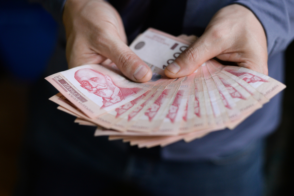 STABILAN RAST PLATA I PENZIJA Do kraja 2025. godine, prosečna zarada biće 1.050 evra