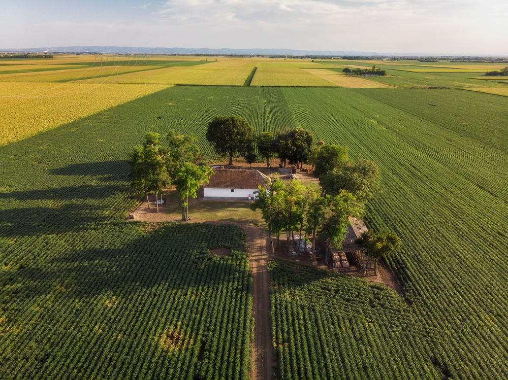 Kupovina zemljišta - pametna investicija ili bacanje para?