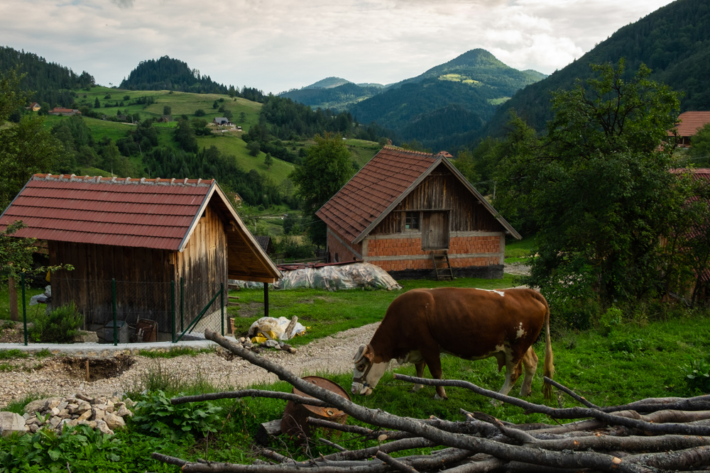 SRBIJA IMA VAŽNU MISIJU Ulažu se milioni zarad jednog cilja
