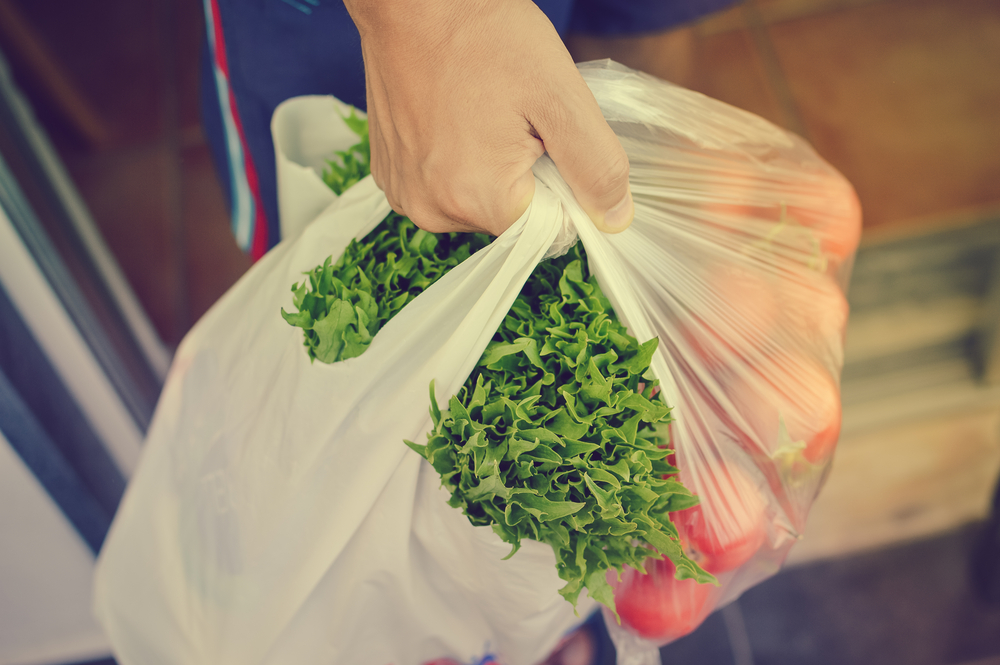 Ukidaju plastične kese, ali šta to vredi, ostavili su najveće zagađivače