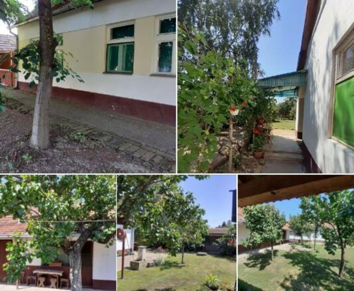 NEVEROVATNIH 110 KVADRATA ZA 6.800 EVRA Dušica prodaje kuću sa dvorištem i kaže da cena nije fiksna (FOTO)