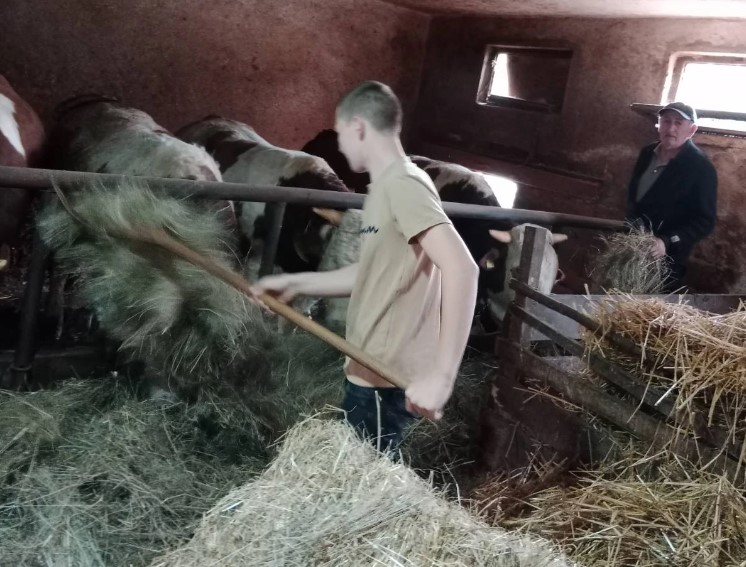 Kako registrovati poljoprivredno gazdinstvo