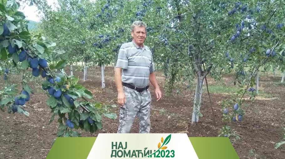 Dragiša pravi rakiju od organske šljive - Stare sorte sačuvao u voćnjaku
