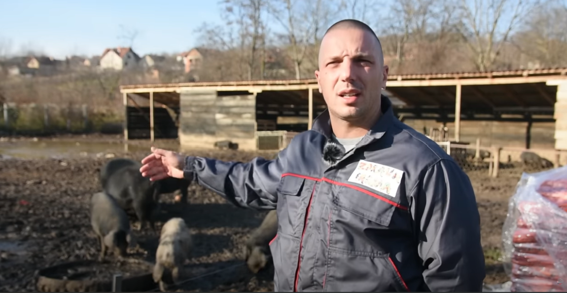 Svinje hrani bananama, trešnjama i šargarepa, a onda prodaje pršut papreno - Marko napravio ozbiljan biznis
