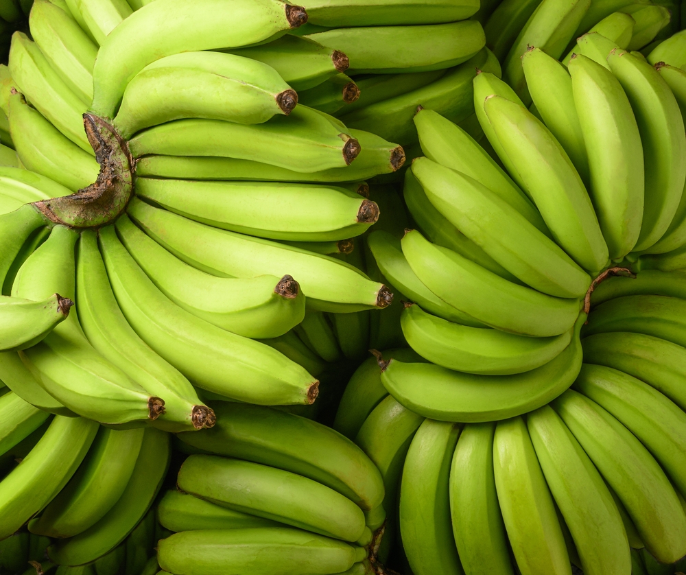 Zbog sukoba oko izvoza oružja, Rusija bi mogla da ostane bez banana
