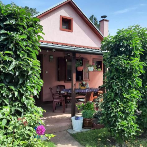 Ovo je najjeftinija kuća na Fruškoj Gori - ima 120 kvadrata, voćnjak i ogroman plac