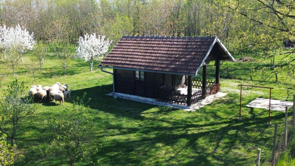 Kuća u srcu Šumadije po ceni od 41.500 evra, ali tu je i 70 ari placa sa 600 stabala voća (FOTO)