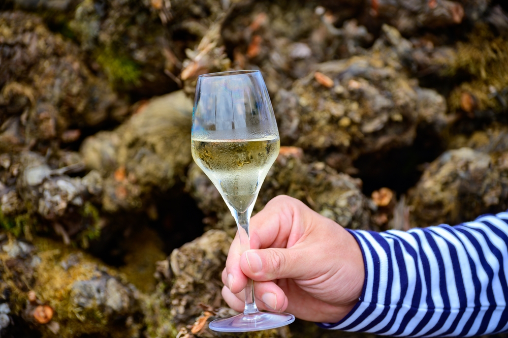 Prodaja šampanjca ide veoma slabo, poruka vinogradarima - berite manje grožđa