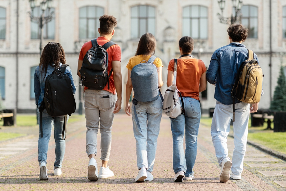 Srbija je puna studenata stranaca i ne žale para za kiriju