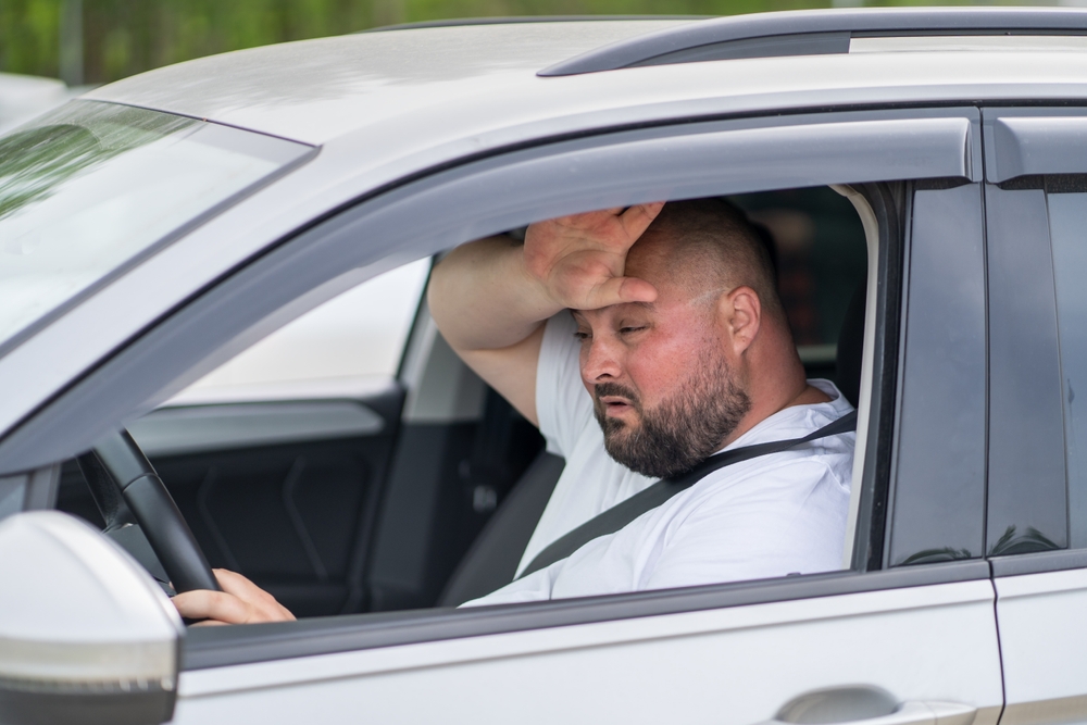 NE IGRAJTE SE, NAPOLJU JE PAKAO Saveti za vozače po visokim temperaturama