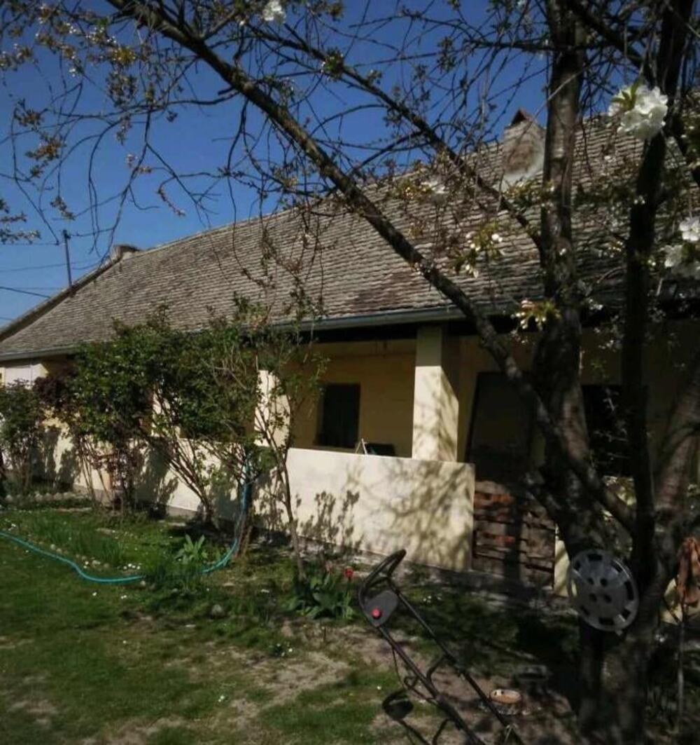 KOMPLET IMANJE ZA 30.000 EVRA BLIZU NOVOG SADA Trosobna kuća, veliko dvorište i dodatni objekti na prodaju (FOTO)
