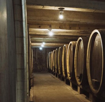 U KRALJEVOJ VINARIJI POSTOJI BURE BROJ 48 Njegova sadržina je jedinstvena na Balkanu