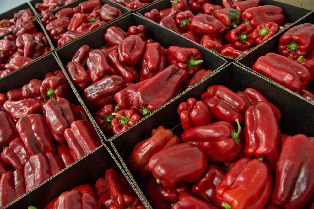 PAPRIKA IZ ALBANIJE SA ZABRANJENOM SUPSTANCOM Visokorizična pošiljka otkrivena na granici
