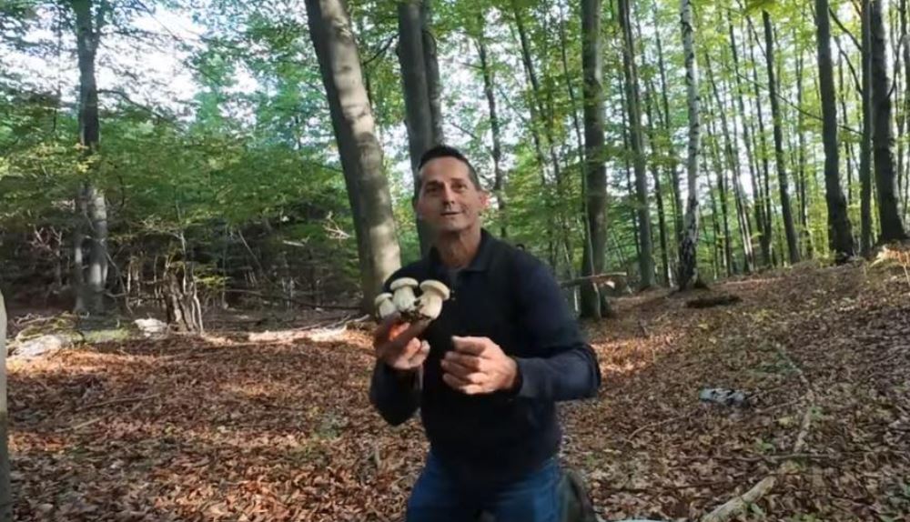 KRALJ VRGANJA ZARADI 150 EVRA DNEVNO Marko bere samo prvoklasne koje mu donose pravo bogatstvo