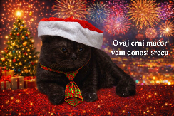 Gorivo je i dalje glavno oružje, ili - zašto će nam ipak biti bolje u 2026. godini