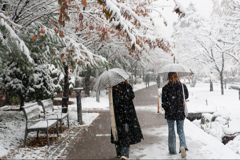  Država nadoknađuje štetu od snega! Građani, evo kako da se prijavite