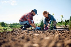 Zarađivao 6.000 evra mesečno, a onda sve ostavio - danas živi od biljke koja uspeva u svakom stanu 