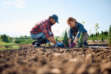 Zarađivao 6.000 evra mesečno, a onda sve ostavio - danas živi od biljke koja uspeva u svakom stanu 