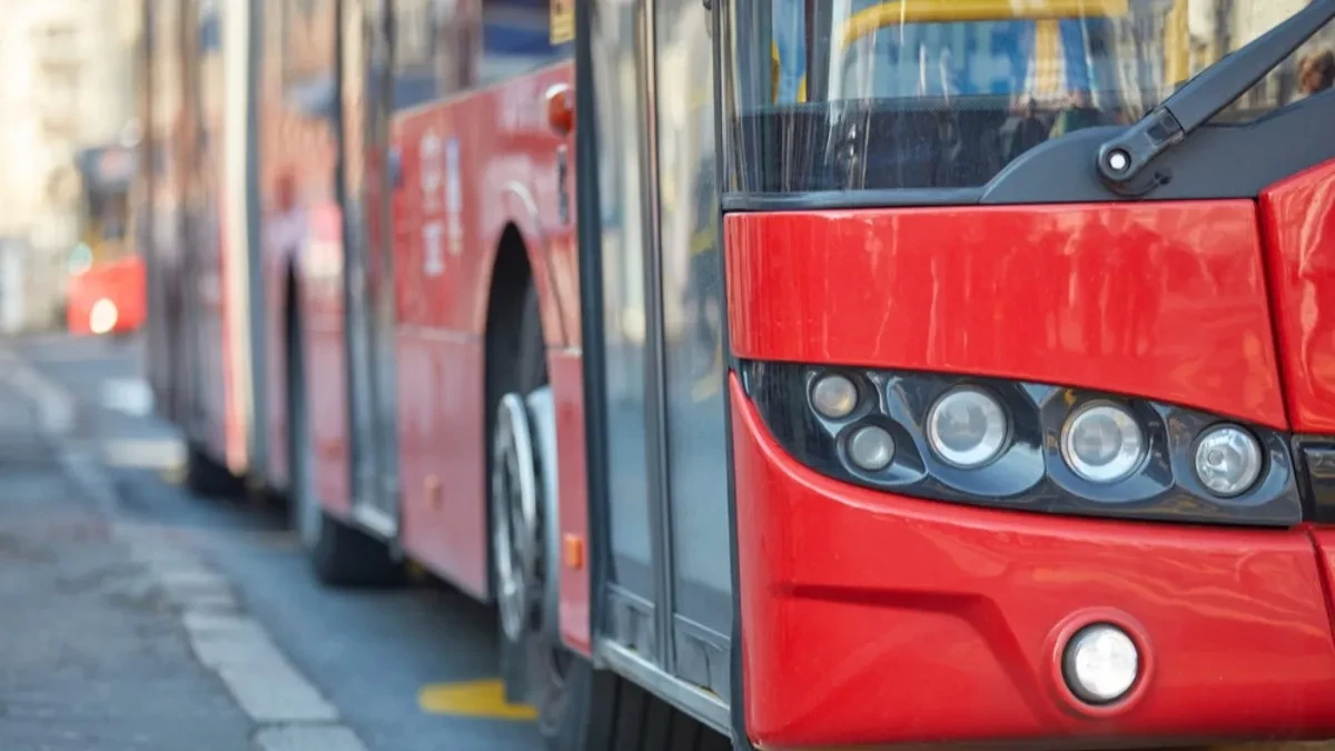 Do EXPO-a u Surčinu gradskim prevozom - poznato kuda će saobraćati nove autobuske linije