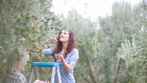 Tina brala masline, pa od kolega dobila običnu salvetu - kada ju je otvorila, shvatila je šta su uradili