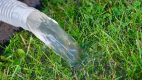 Bolje rešenje za baštu od trave - biljka koja traži manje zalivanja izgleda prelepo