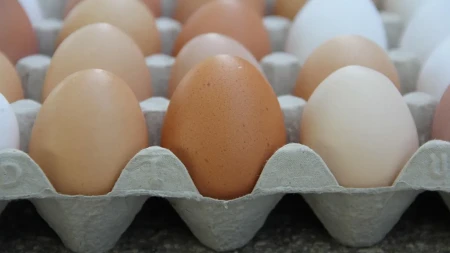 Države se utrkuju ko će više da uloži u proizvodnju jaja - u igri stotine miliona evra