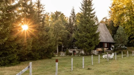 Može li deo dvorišta da se proda kao zaseban plac? Zakon je jasan