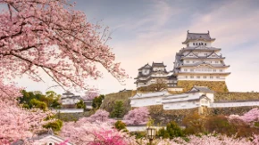 Japan nudi devet miliona praznih kuća, neke i besplatno - svi potrčali po svoju, pa shvatili šta ih čeka
