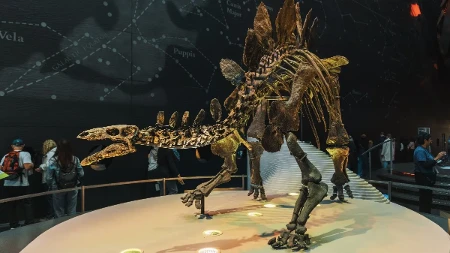 Skelet dinosaurusa prodat za 47 miliona dolara