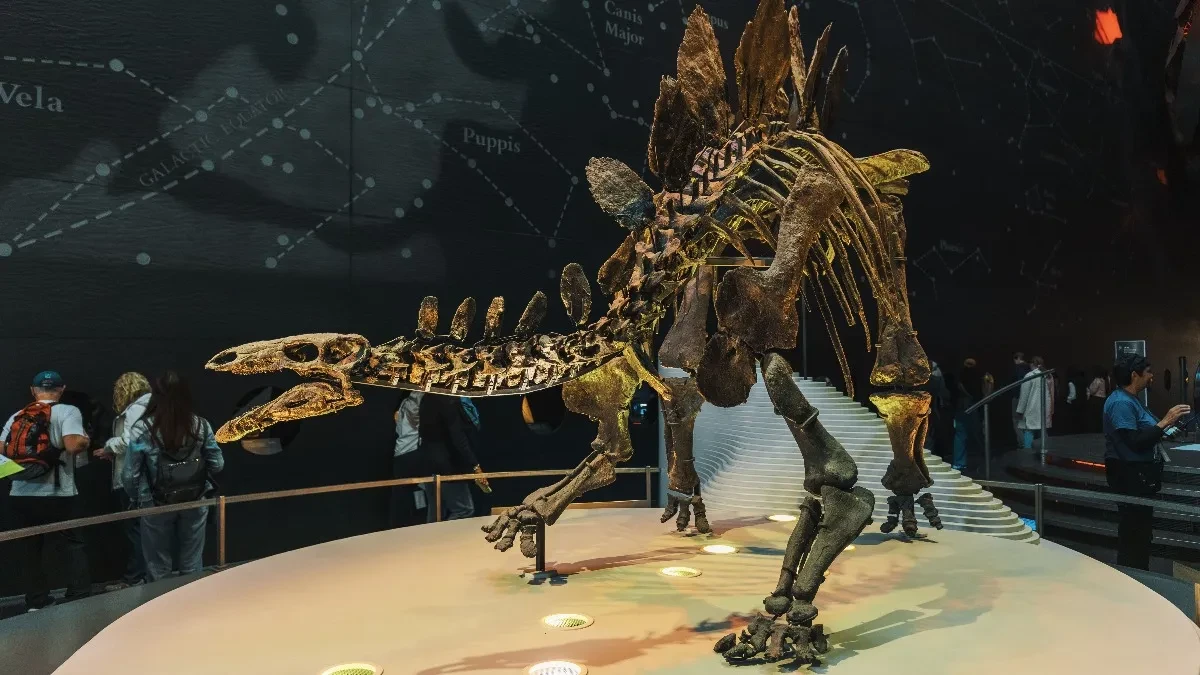 Skelet dinosaurusa prodat za 47 miliona dolara